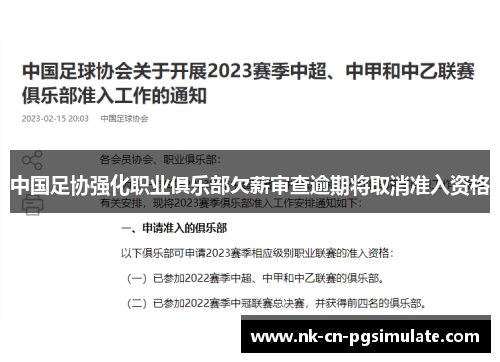 中国足协强化职业俱乐部欠薪审查逾期将取消准入资格 中国足协强化职业俱乐部欠薪审查逾期将取消准入资格