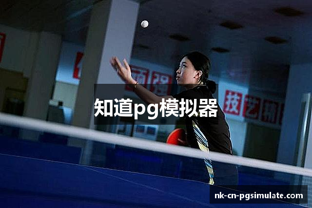 知道pg模拟器